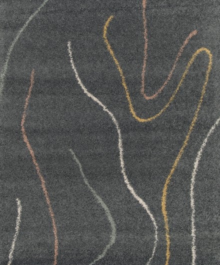 Dark grey Stella area rug with colourful curved lines